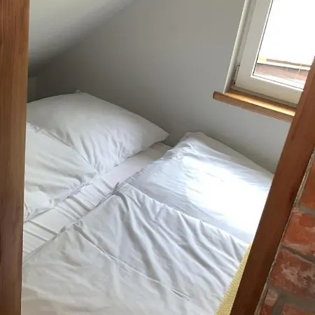 Odpoczywajka Brzozowy Z Balia I Sauna 빌라 Borucino (Kartuzy)